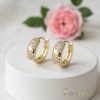 Goldfilled Antialergic Cercei 14mm 14K Culoare 