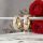 Goldfilled Antialergic Cercei 20mm 14K Culoare